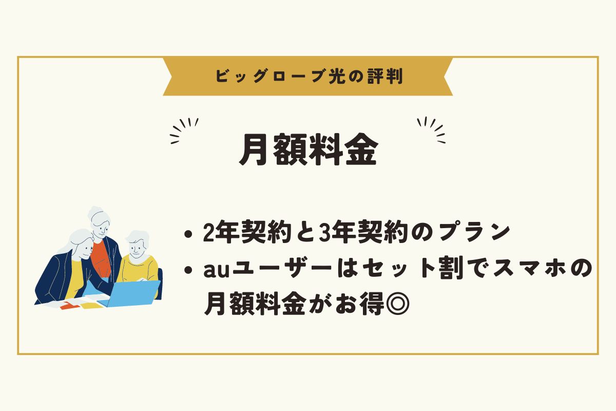 ビッグローブ光　評判